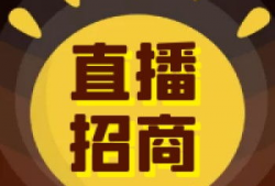 91直播密码房子,揭秘虚拟房产的奇幻之旅