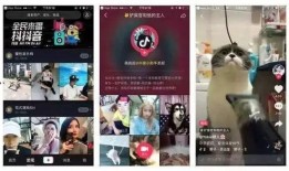 抖音91尤直播,揭秘网红魅力背后的故事