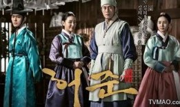龟岩许浚 电视剧,宫廷医术传奇，揭秘朝鲜王朝的神秘医道