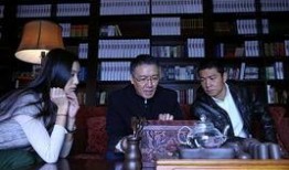 雾里看花电视剧,揭开神秘面纱的悬疑之旅