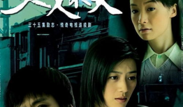 电视剧女人不哭,逆境中的坚韧与成长