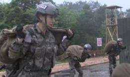 特种部队电视剧大全