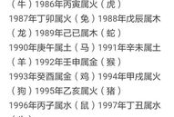 91直播好不好,品质直播体验，你值得拥有