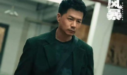 段奕宏演的电视剧,电视剧中的深情演绎与角色塑造