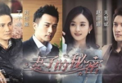 妻子的秘密电视剧,揭开婚姻背后的惊人真相