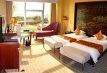 吃瓜娱乐杭州椰子宾馆,揭秘网红酒店背后的吃瓜娱乐故事