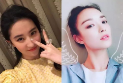 网红与明星区别,揭秘两者间的差异与共存