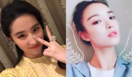 网红与明星区别,揭秘两者间的差异与共存