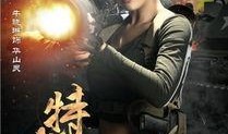 特战王妃电视剧,烽火柔情，战地玫瑰传奇