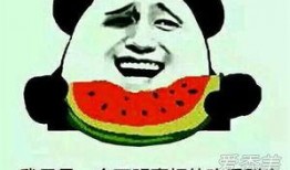 吃瓜群众是比喻吗,网络时代的比喻解析