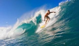 娱乐吃瓜冲浪社,揭秘娱乐圈幕后故事，带你畅游八卦海洋