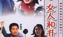 辘轳女人和井电视剧,探寻民间生活的诗意与坚韧