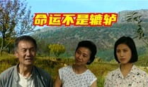 辘轳女人和井电视剧,探寻民间生活的诗意与坚韧