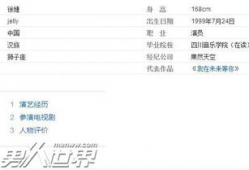 徐婕电视剧,演绎传奇人生，电视剧中的璀璨星辰