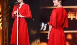 娱乐圈资深吃瓜人小说,揭秘明星背后的秘密与真相