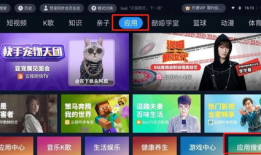 91看电视直播口令,揭秘独家口令解锁精彩瞬间