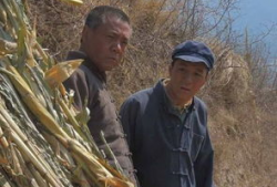 老农民电视剧剧情介绍,岁月流转，耕读传家的农村传奇