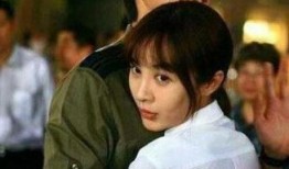 娱乐圈资深吃瓜人小说,揭秘明星背后的秘密与真相