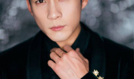 电视剧男明星,揭秘电视剧男明星的辉煌之路