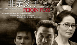 父子电视剧,跨越时光的亲情纽带