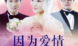 因为爱情有多美电视剧,一段跨越时光的浪漫传奇