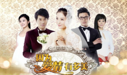 因为爱情有多美电视剧,一段跨越时光的浪漫传奇