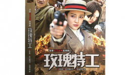 战争电视剧,抗战英雄的传奇征程