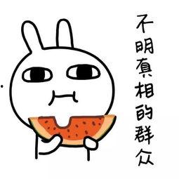 吃瓜娱乐常用bgm