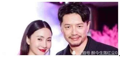 娱乐圈明星吃瓜合集,盘点那些年我们追过的热点事件